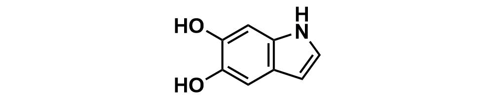 5,6-dihydroxyindole 