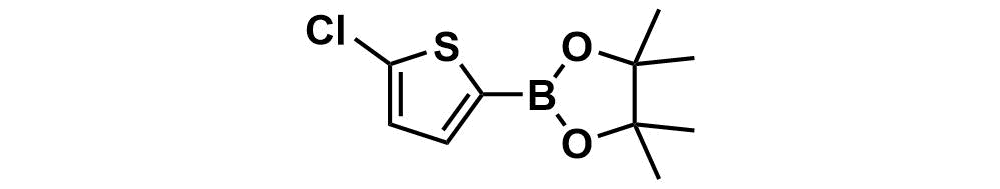 2-(5-chlorothiophen-2-yl)-4,4,5,5-tetramethyl-1,3,2-dioxaborolane